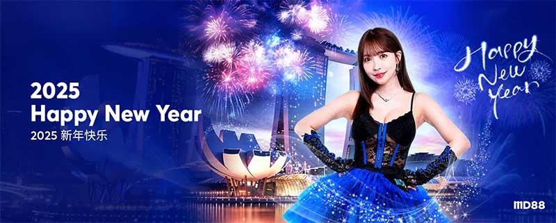 MD88-Happy-New-Year-banner-mobile