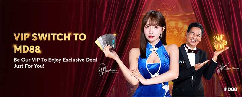 MD88-VIP-Switch-Banner-mobile